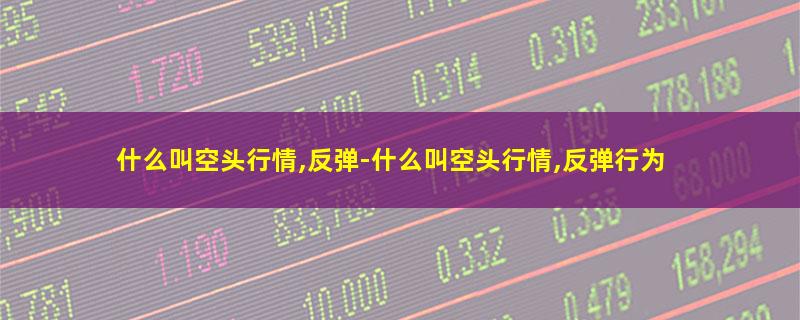 什么叫空头行情,反弹-什么叫空头行