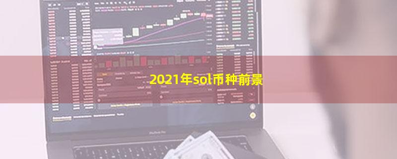 2021年sol币种前景