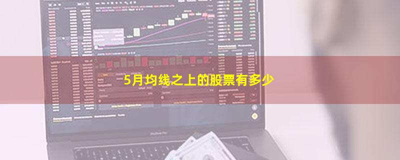 5月均线之上的股票有多少