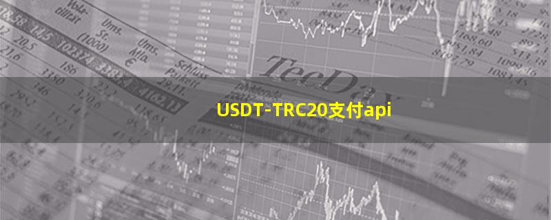 USDT-TRC20支付api