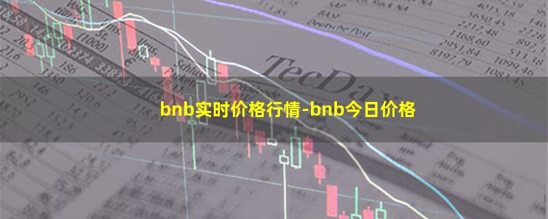 bnb实时价格行情-bnb今日价格