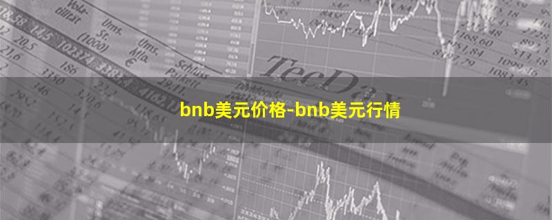 bnb美元价格-bnb美元行情