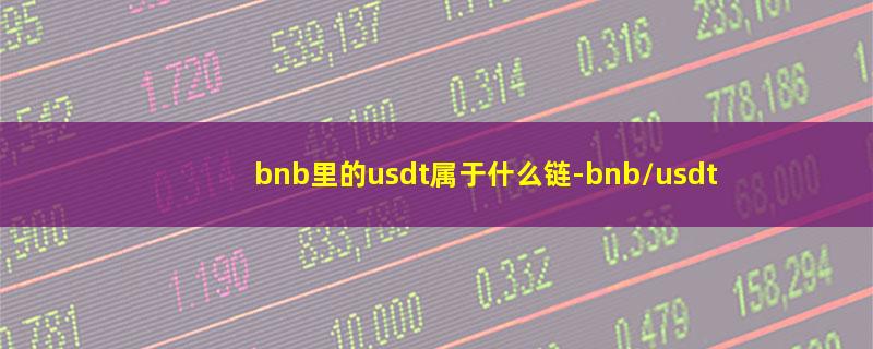 bnb里的usdt属于什么链-bnb/usdt