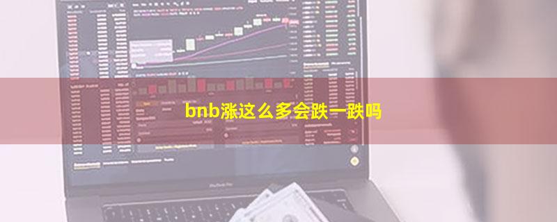 bnb涨这么多会跌一跌吗