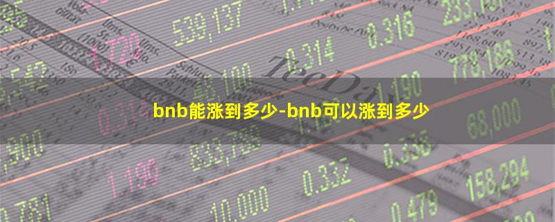 bnb能涨到多少.jpg