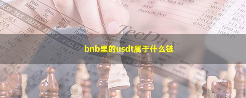 bnb里的usdt属于什么链