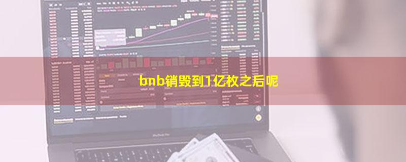 bnb销毁到1亿枚之后呢