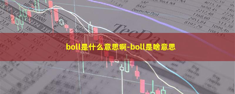 boll是什么意思啊-boll是啥意思