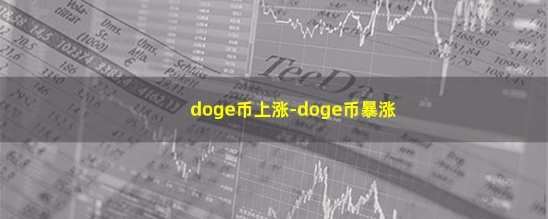 doge币上涨.jpg