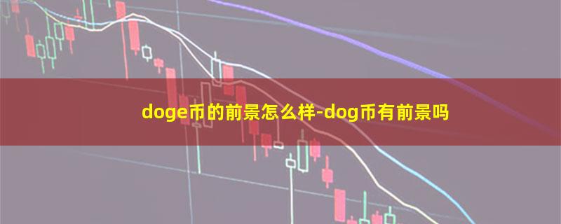 doge币的前景怎么样.jpg