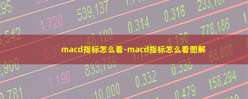 macd指标怎么看.jpg