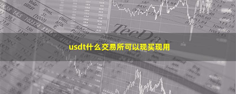 usdt什么交易所可以现买现用