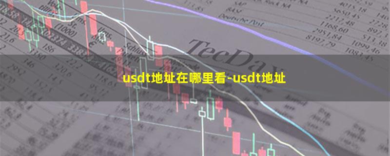 usdt地址在哪里看.jpg