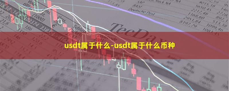 usdt属于什么.jpg