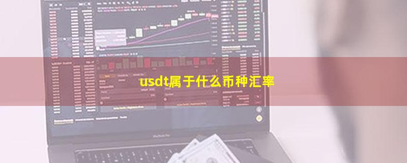 usdt属于什么币种汇率