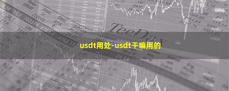 usdt用处.jpg