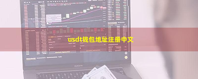 usdt钱包地址注册中文