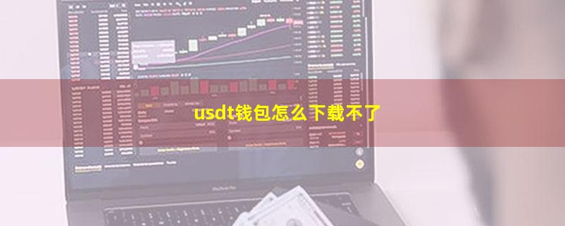 usdt钱包怎么下载不了