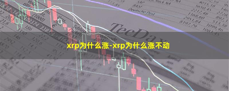 xrp为什么涨.jpg