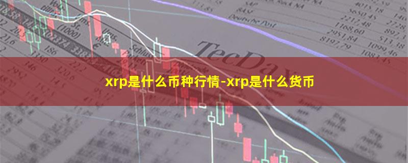 xrp是什么币种行情.jpg