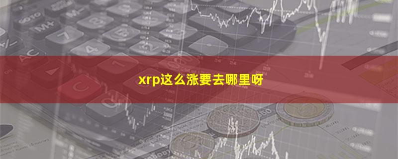 xrp这么涨要去哪里呀