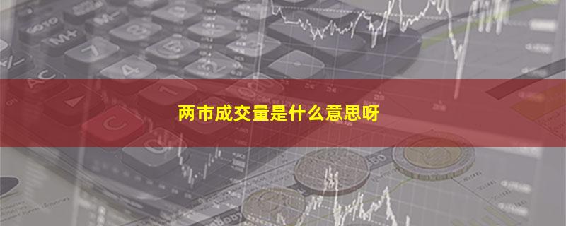 两市成交量是什么意思呀