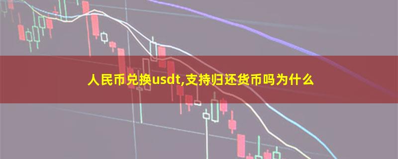 人民币兑换usdt,支持归还货币吗为什么