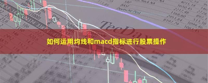 如何运用均线和macd指标进行股票操作.jpg