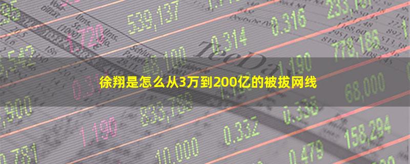 徐翔是怎么从3万到200亿的被拔网线