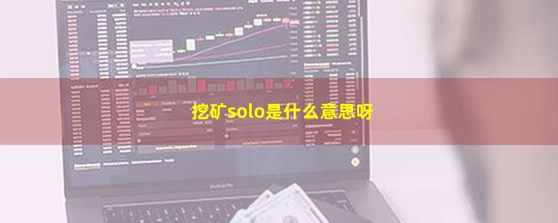 挖矿solo是什么意思呀