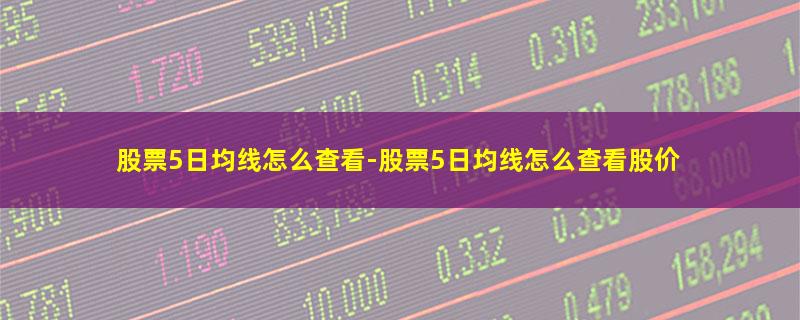 股票5日均线怎么查看.jpg