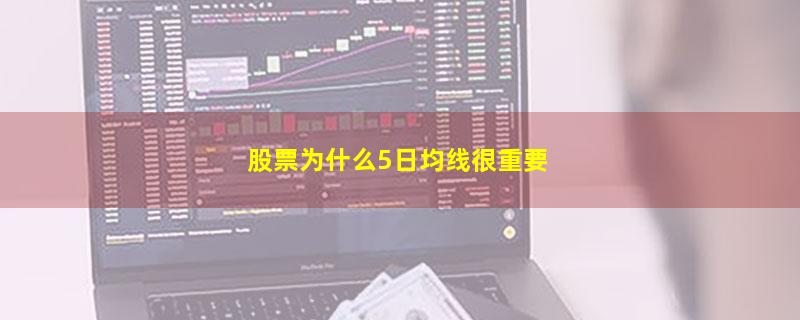 股票为什么5日均线很重要