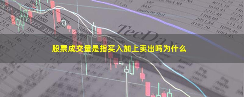 股票成交量是指买入加上卖出吗为什么