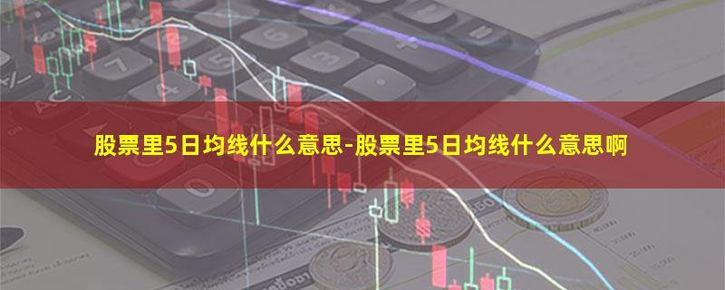 股票里5日均线什么意思.jpg