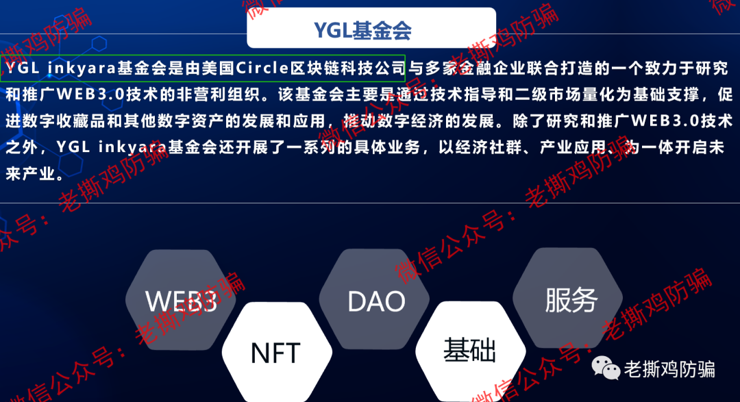 YGL英吉拉基金会是美国世可Circle的？国人搞的华英会NFT仿盘而已！！