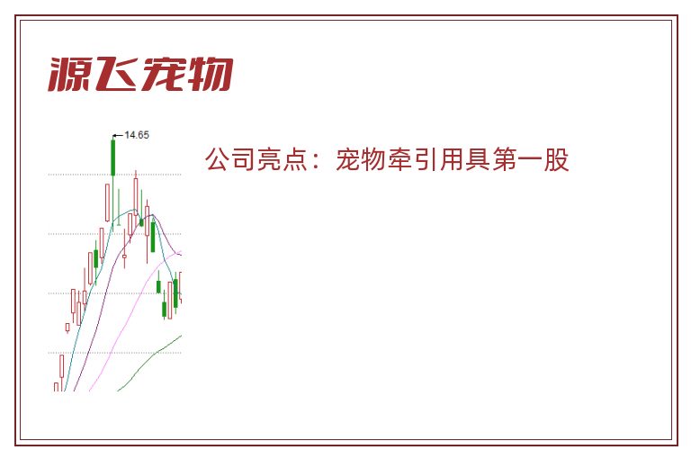 源飞宠物