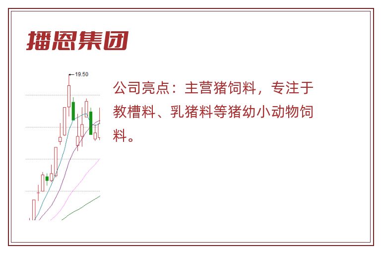 播恩集团