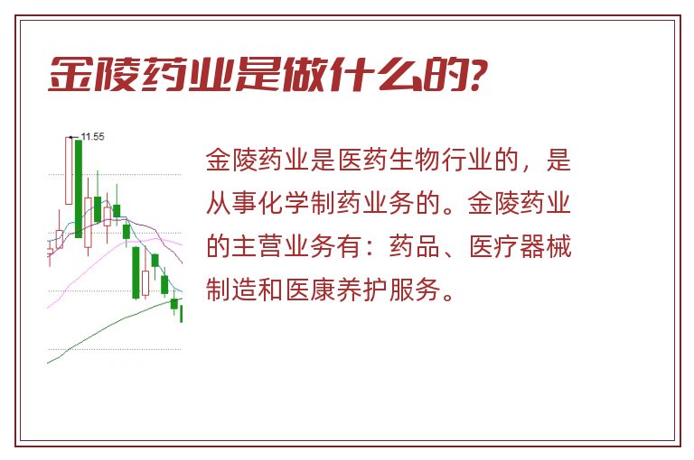 金陵药业是做什么的？