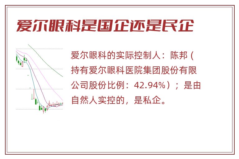 爱尔眼科是国企还是民企