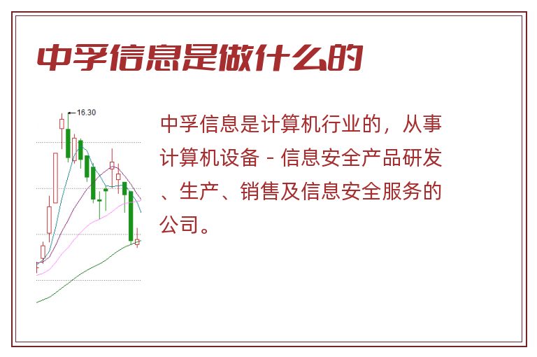 中孚信息是做什么的