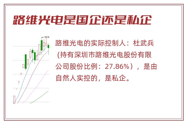 路维光电是国企还是私企