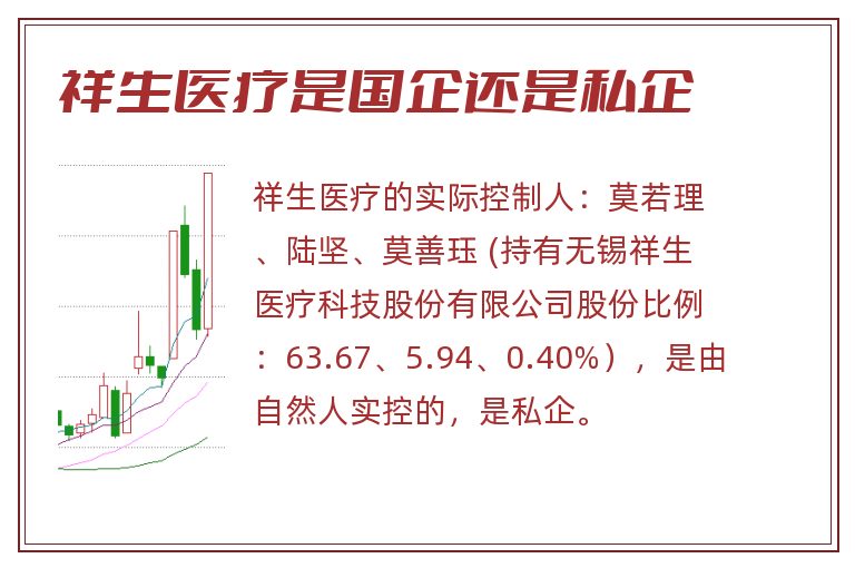 祥生医疗是国企还是私企