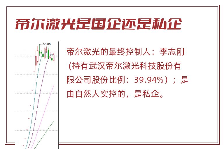 帝尔激光是国企还是私企