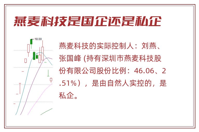 燕麦科技是国企还是私企