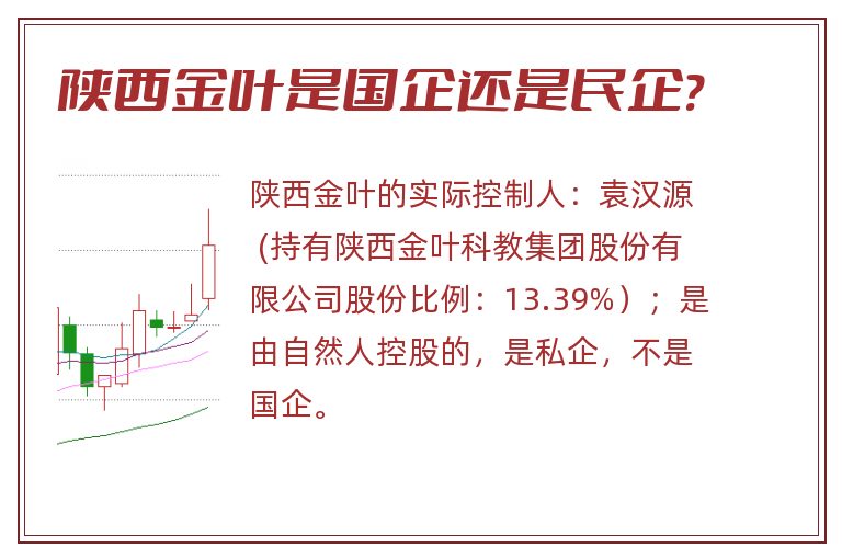 陕西金叶是国企还是民企?