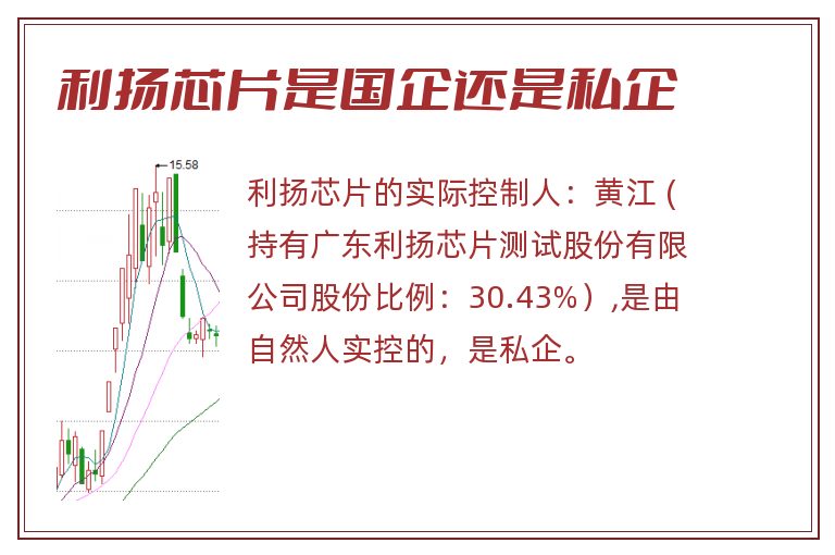 利扬芯片是国企还是私企