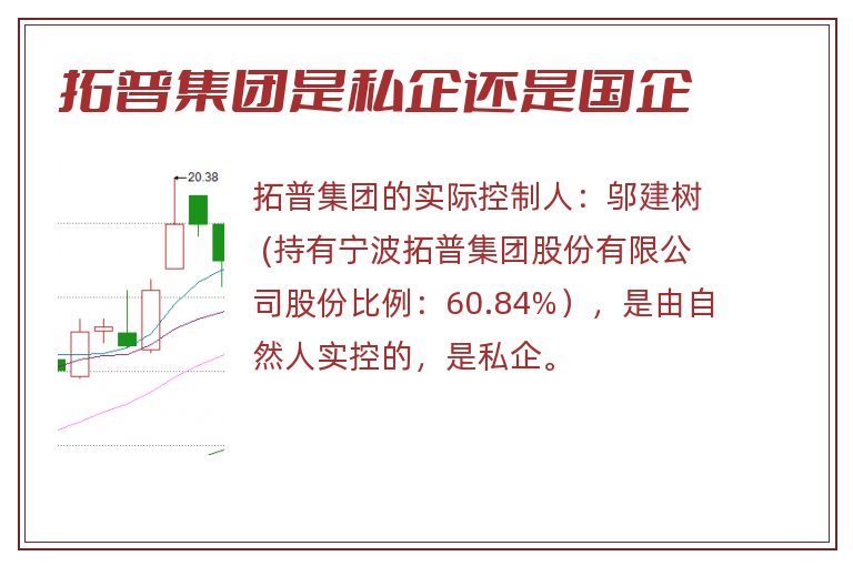 拓普集团是私企还是国企