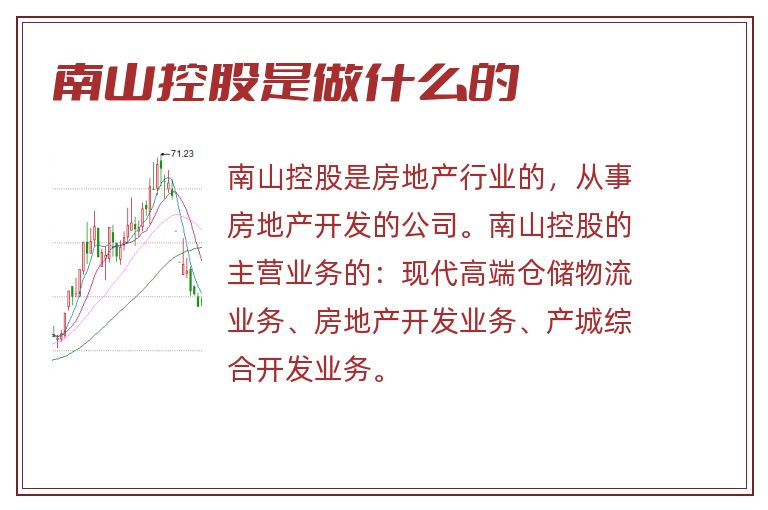 南山控股是做什么的