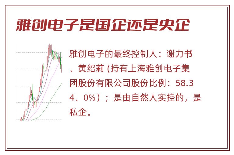 雅创电子是国企还是央企