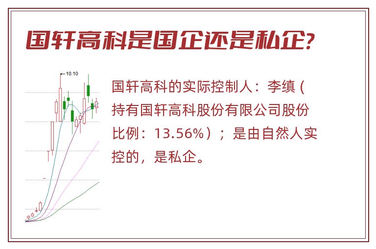 国轩高科是国企还是私企?